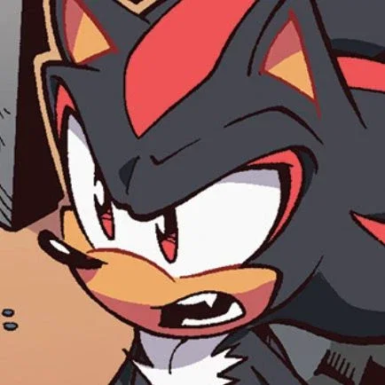 Shadow The Hedgehog