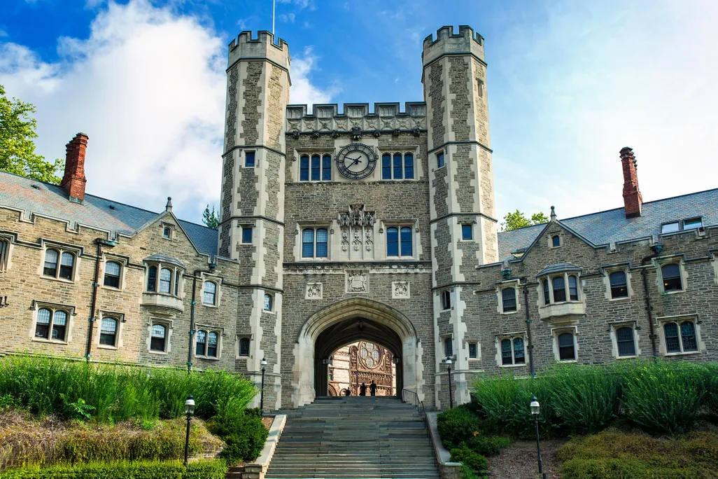 📙Pinguis University | Fat College📙