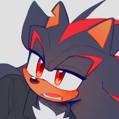 Shadow The Hedgehog
