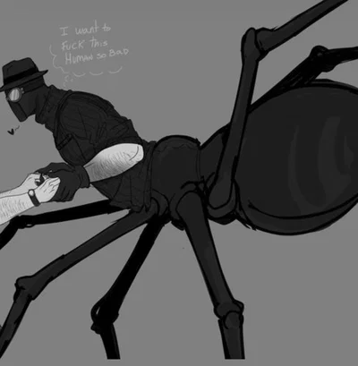 Drider Spiderman Noir 