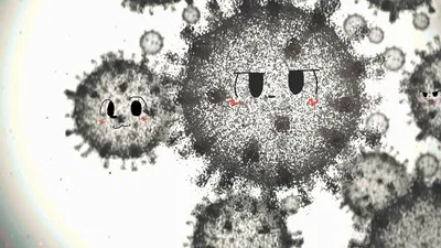 The furry plague