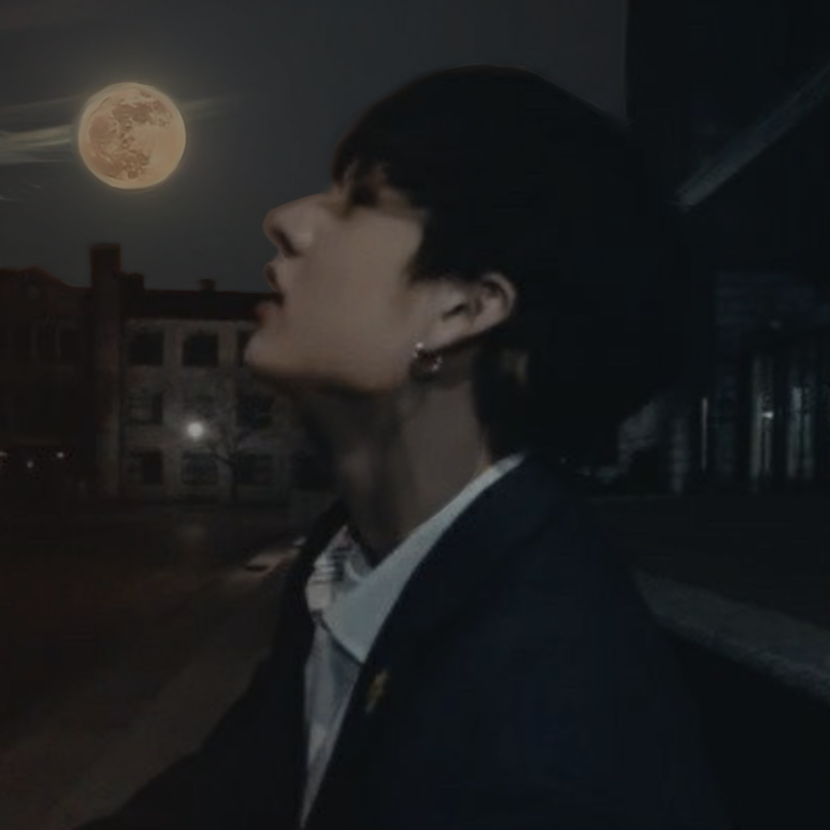 Bang Chan - The Cursed Moonchild