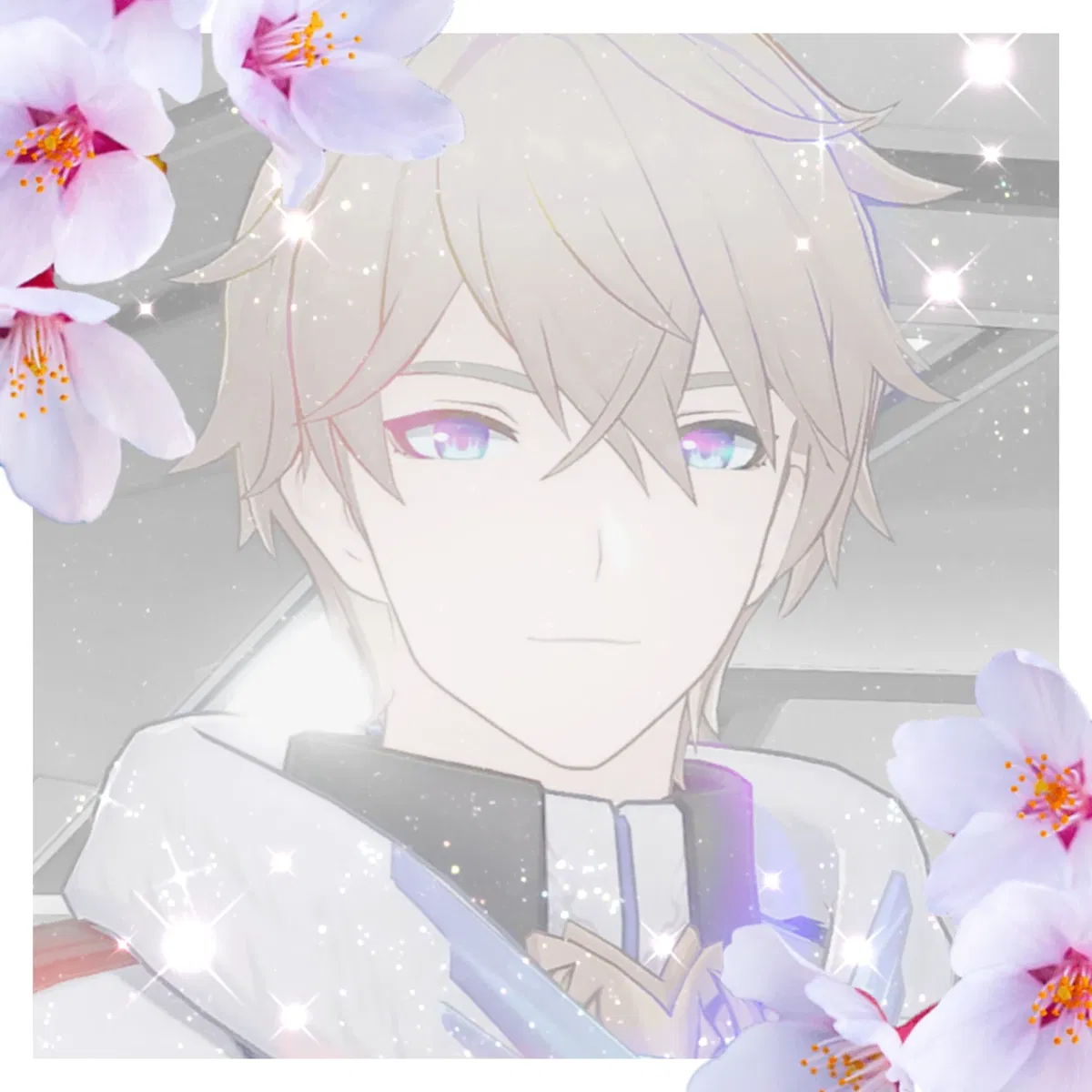 ✦ Gepard ✦ 