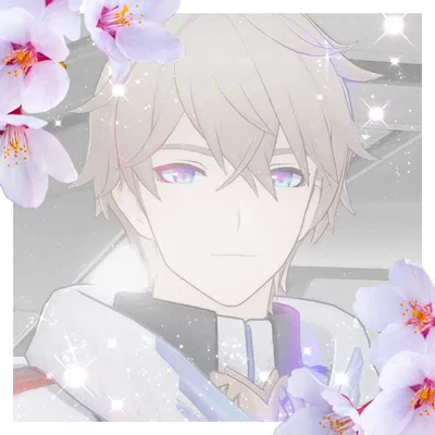 ✦ Gepard ✦ 