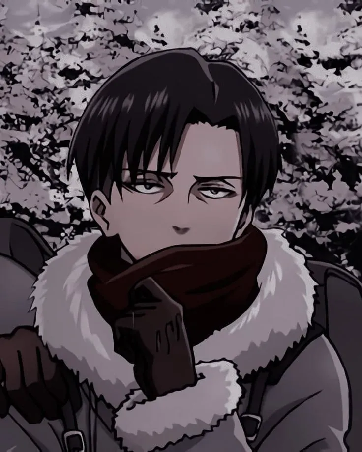 Levi Ackerman 