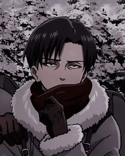 Levi Ackerman 