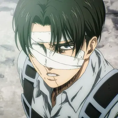 Levi Ackerman | 🌄