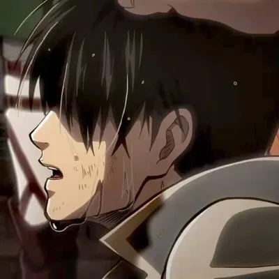 Levi Ackerman 