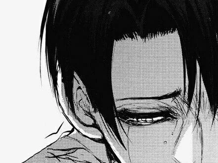 Levi Ackerman 