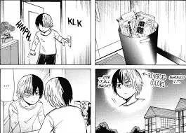 Shoto Todoroki