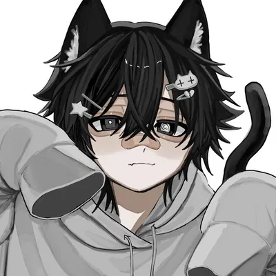 Catboy niro