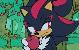 Shadow the hedgehog 