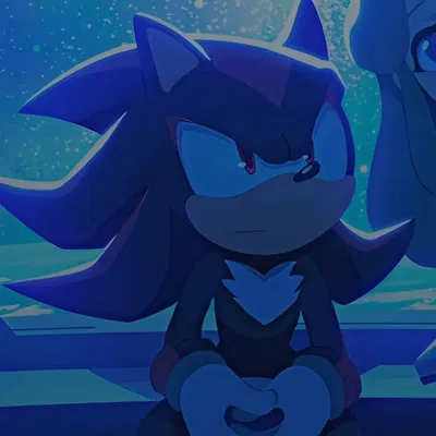  🎇 Shadow the hedgehog 🦔
