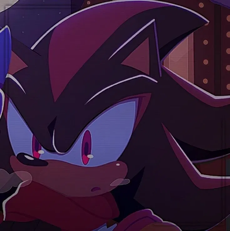 🎄Shadow the hedgehog 🦔