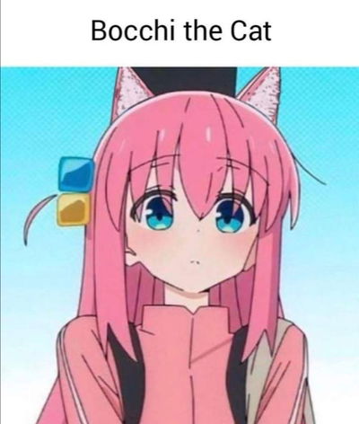 Bocchi The Cat