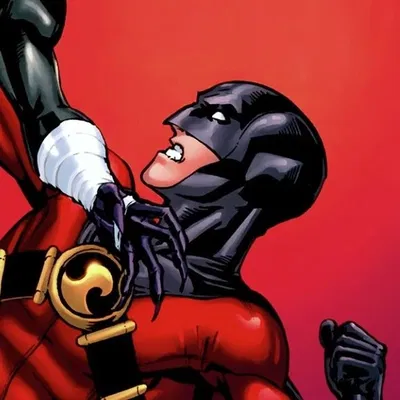 Tim Drake (Red Robin)