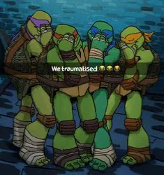 2012 Tmnt rp