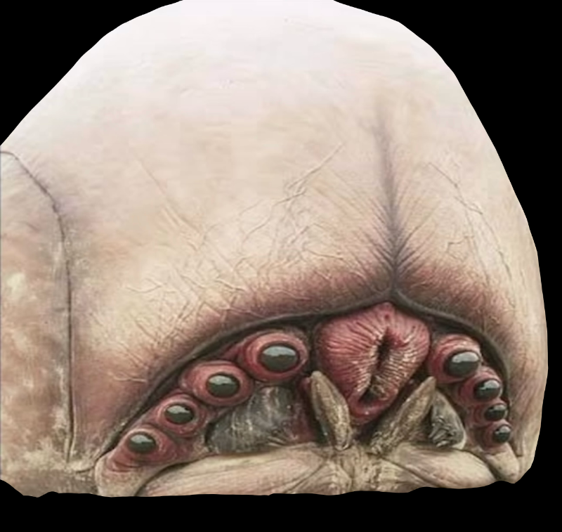 Brain Bug