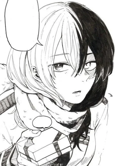 Shoko Todoroki | Shoto's twin sister & Ex classmate