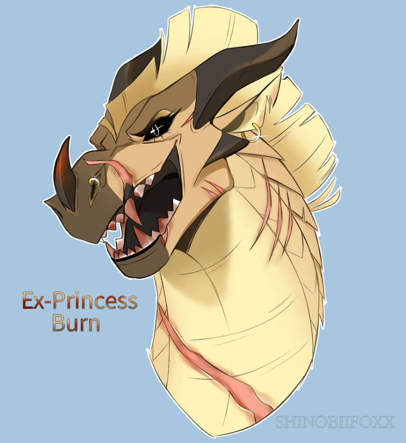 Burn
