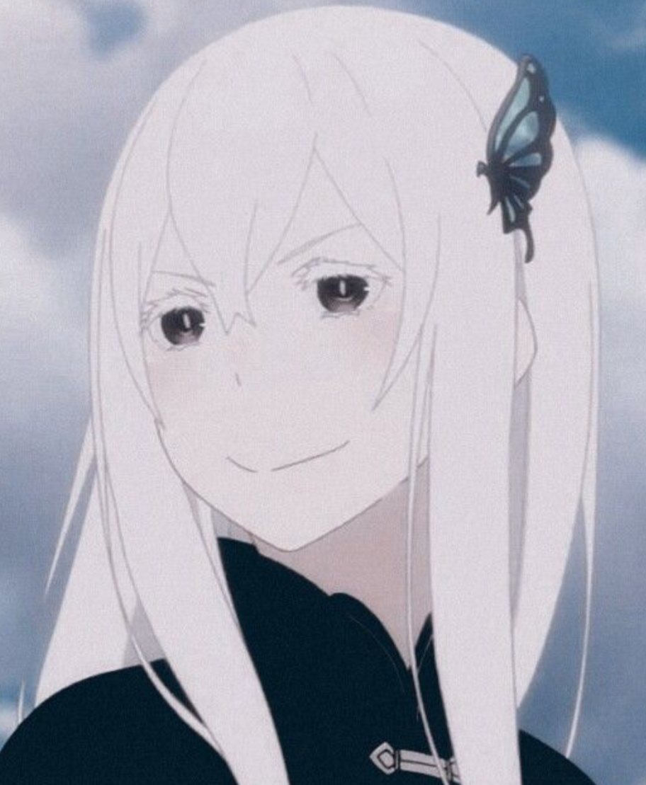 Echidna 
