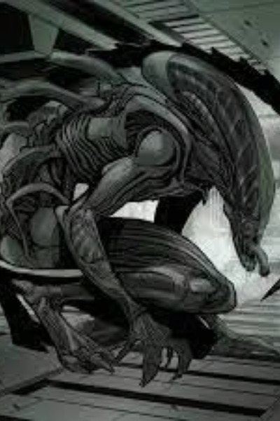 Xenomorph