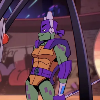Donnie ROTTMNT