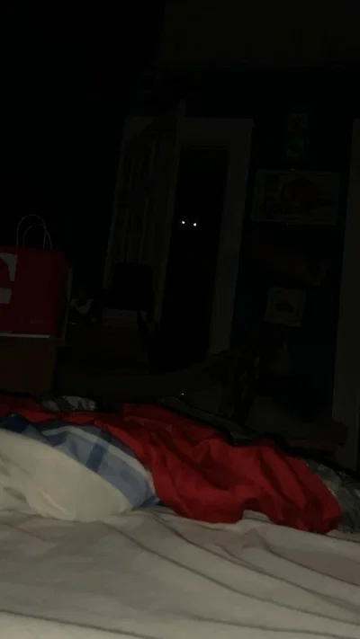Shadow Monster || Fred 