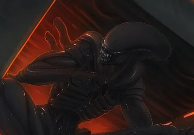 Xenomorph