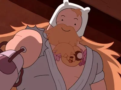 Finn Mertens [ ADULT + FIONNA AND CAKE ]