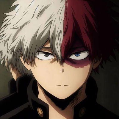 Shoto Todoroki 
