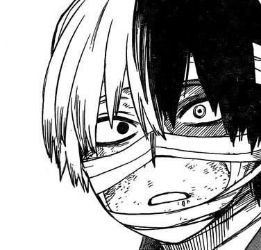 Shoto Todoroki 