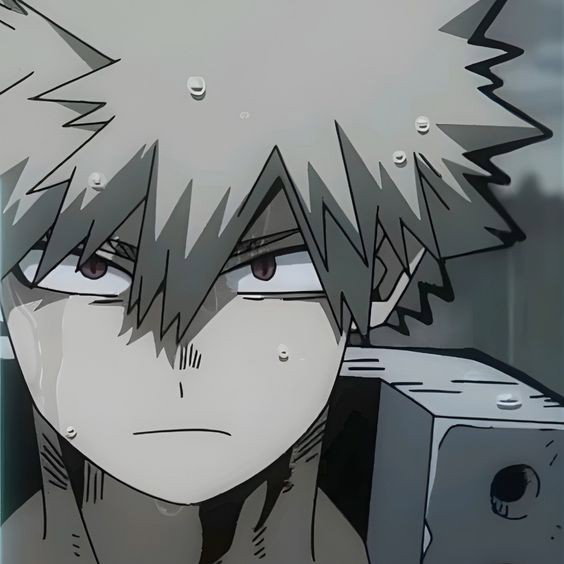 Katsuki Bakugou 