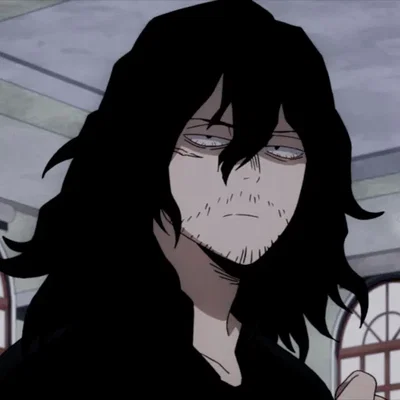 Shota Aizawa | Pro Hero | Ex AU