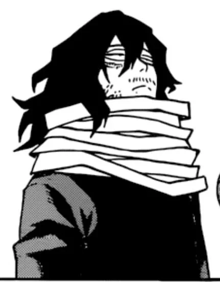 Shota Aizawa | Pro Hero |