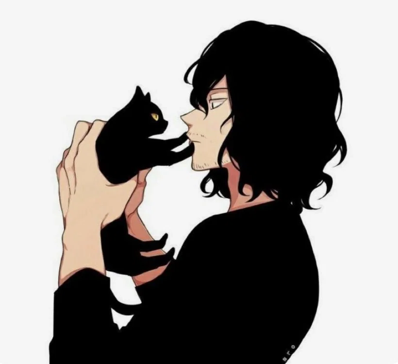 Shota Aizawa / Eraser Head | Cat Quirk User