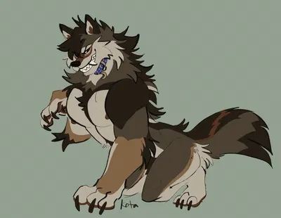 Remus (Your werewolf pet