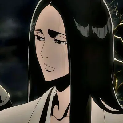 Unohana Retsu | Future opponent