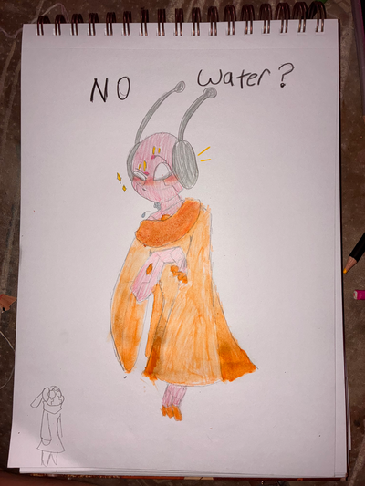 Drew this