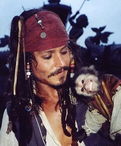 Jack Sparrow 