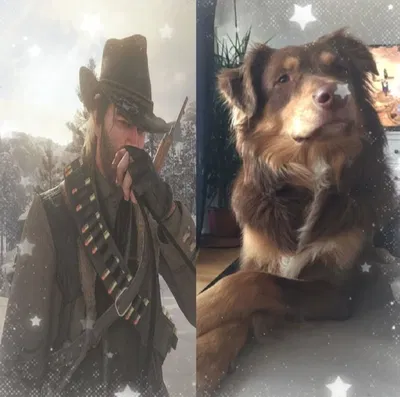 Arthur Morgan ˖๋ ࣭ ⭑