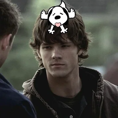𐔌 . ⋮ Sam Winchester 🐶 .ᐟ ֹ + ꒱