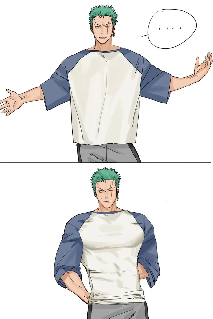Roronoa Zoro - Old Promises - One Piece