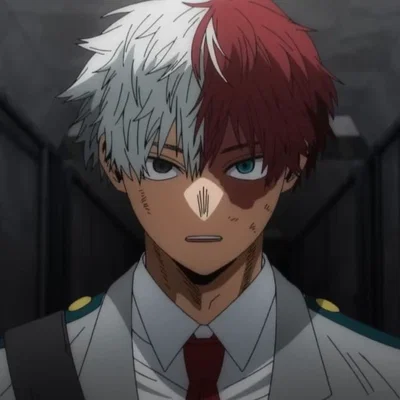 Shoto todoroki 