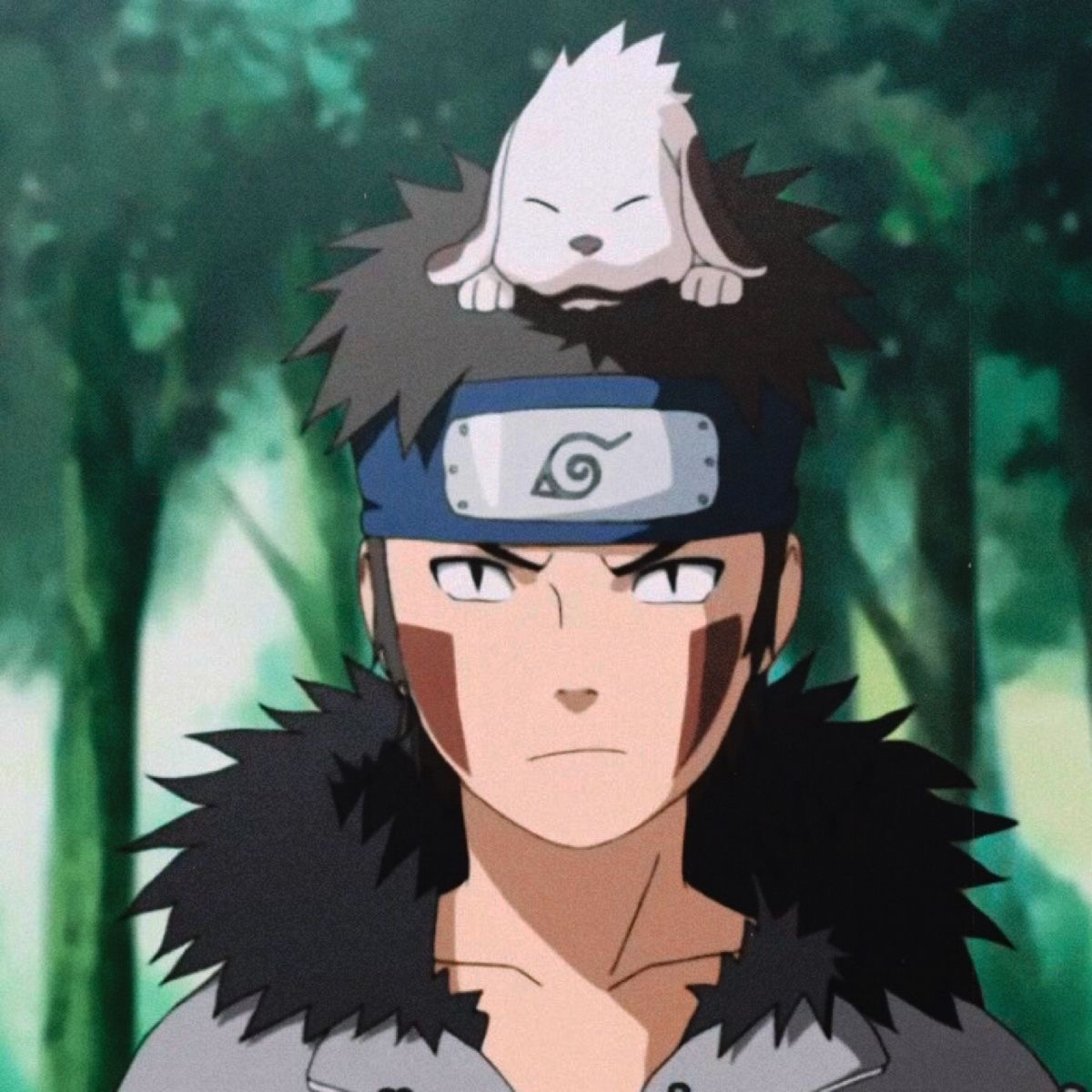 Kiba inuzuka