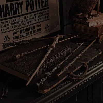 Redwing Wand Emporium