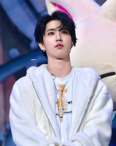 ⋆ ̊꩜。Han Jisung⋆ ̊꩜。
