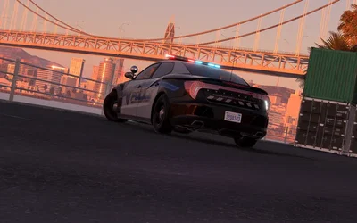 Police RPG