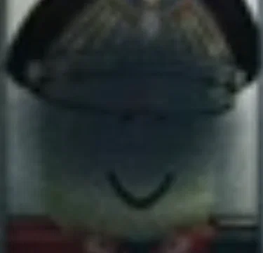 Have you see this dude 