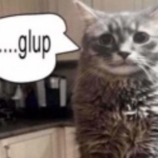 50 FOLLOWERS?!?!?!